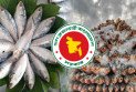 দুই মাসে বেনাপোল দিয়ে সাড়ে ৩ লাখ কেজি ইলিশ আমদানি